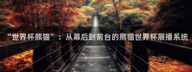 今天所有足球赛程表：“世界杯熊猫”：从幕后到前台的熊猫世界杯展播系统