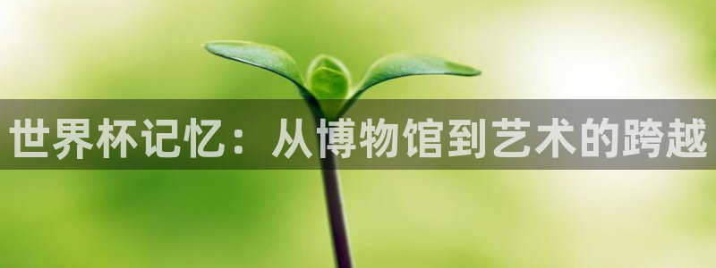 世界直播:世界杯记忆:从博物馆到艺术的跨越