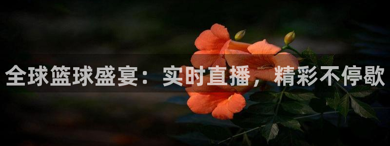 世界杯欧洲预选赛赛程:全球篮球盛宴:实时直播,精彩不停歇
