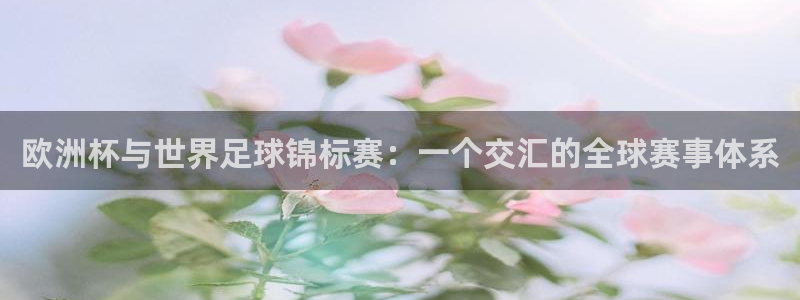 足球世界杯预选赛：欧洲杯与世界足球锦标赛：一个交汇的全球赛事体系