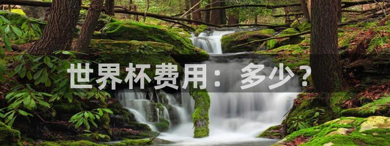 预选赛世界杯：世界杯费用：多少？