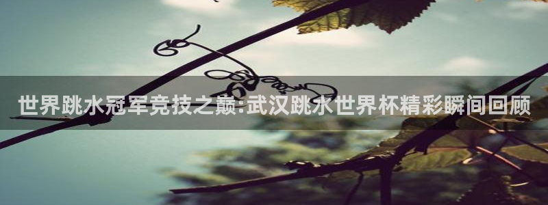 2026世界杯足球赛程时间表：世界跳水冠军竞技之巅:武汉跳水世界杯精彩瞬间回顾