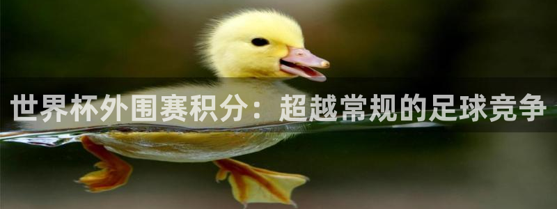 2026世界杯：世界杯外围赛积分：超越常规的足球竞争