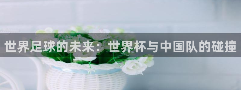 世界杯预选赛赛程表：世界足球的未来：世界杯与中国队的碰撞