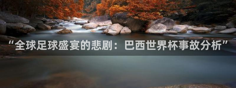 2026男足世界杯：“全球足球盛宴的悲剧：巴西世界杯事故分析”