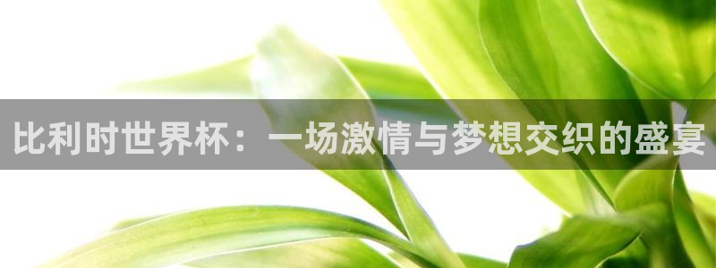 世界杯在线直播入口:比利时世界杯:一场激情与梦想交织的盛宴
