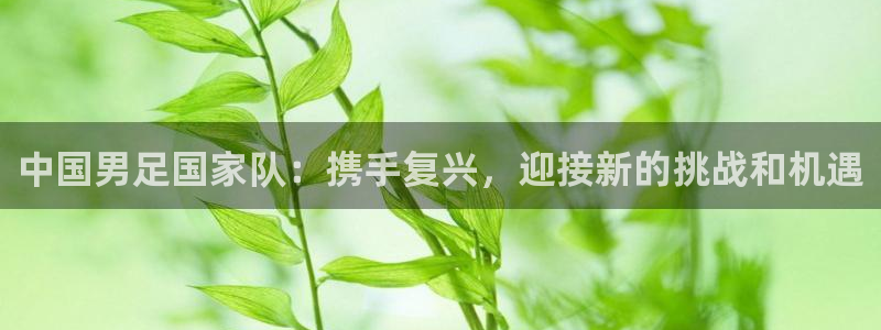 世界杯预选赛亚洲区积分榜：中国男足国家队：携手复兴，迎接新的挑战和机遇
