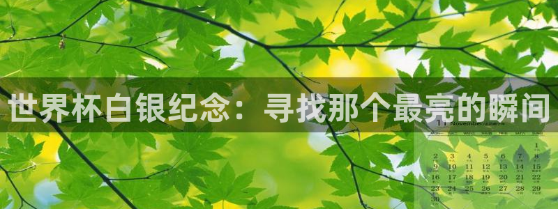 世界杯在线直播入口：世界杯白银纪念：寻找那个最亮的瞬间