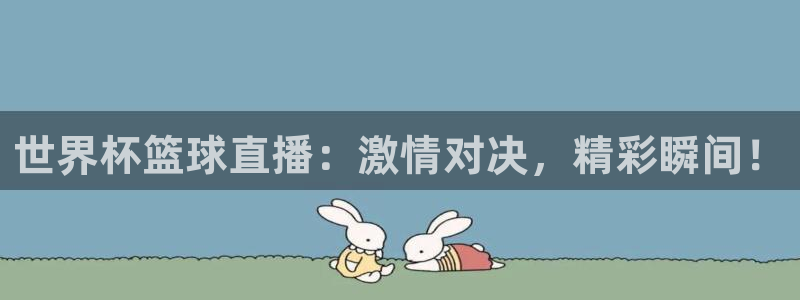 2026世界杯南美区积分榜：世界杯篮球直播：激情对决，精彩瞬间！