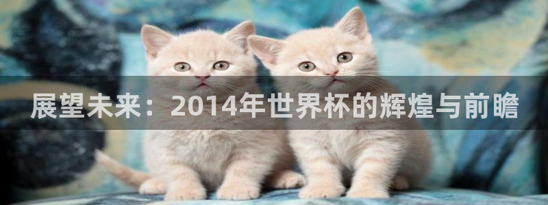 2026男足世界杯赛程：展望未来：2014年世界杯的辉煌与前瞻